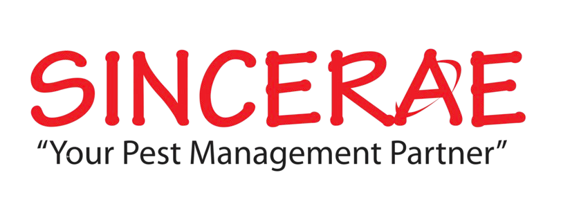 Sincerae Services Logo
